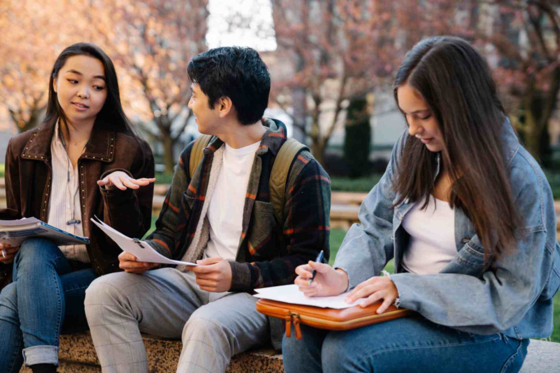 Three students sit together outdoors on a stone ledge, engaged in a study session while surrounded by trees with pink blossoms.